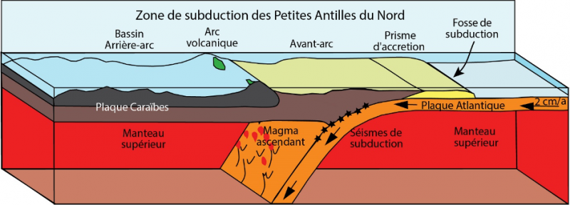 220927 Manta schema simplifie