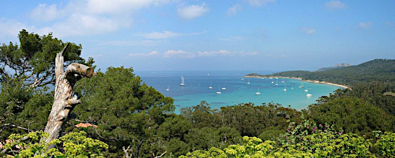 Ile de Porquerolles École d'été BasMatI 2018