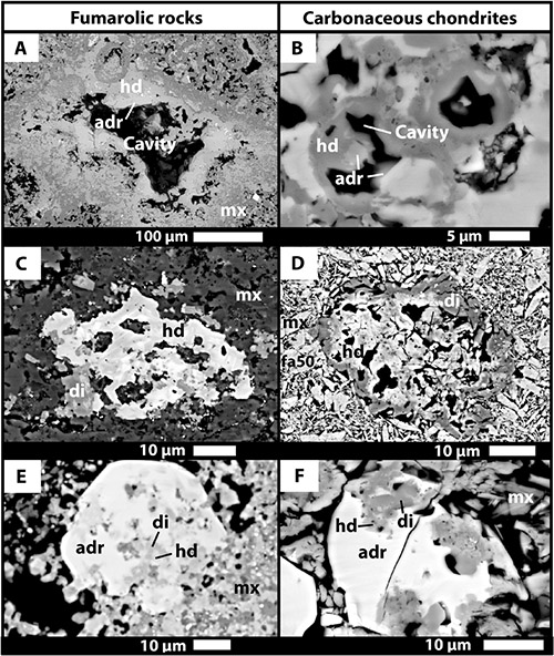 fig2 A